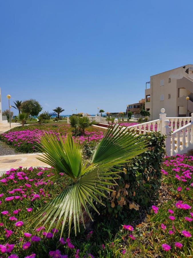 Casa Baja Naturista Con Patio En Primera Linea De Playa Con Piscina Comunitaria! Vera Exteriér fotografie