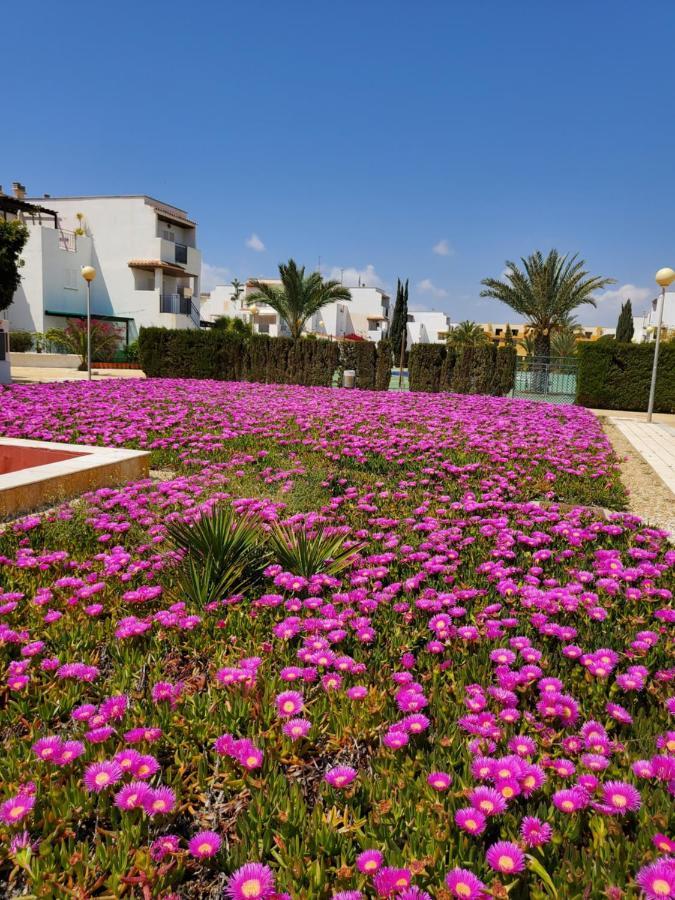 Casa Baja Naturista Con Patio En Primera Linea De Playa Con Piscina Comunitaria! Vera Exteriér fotografie